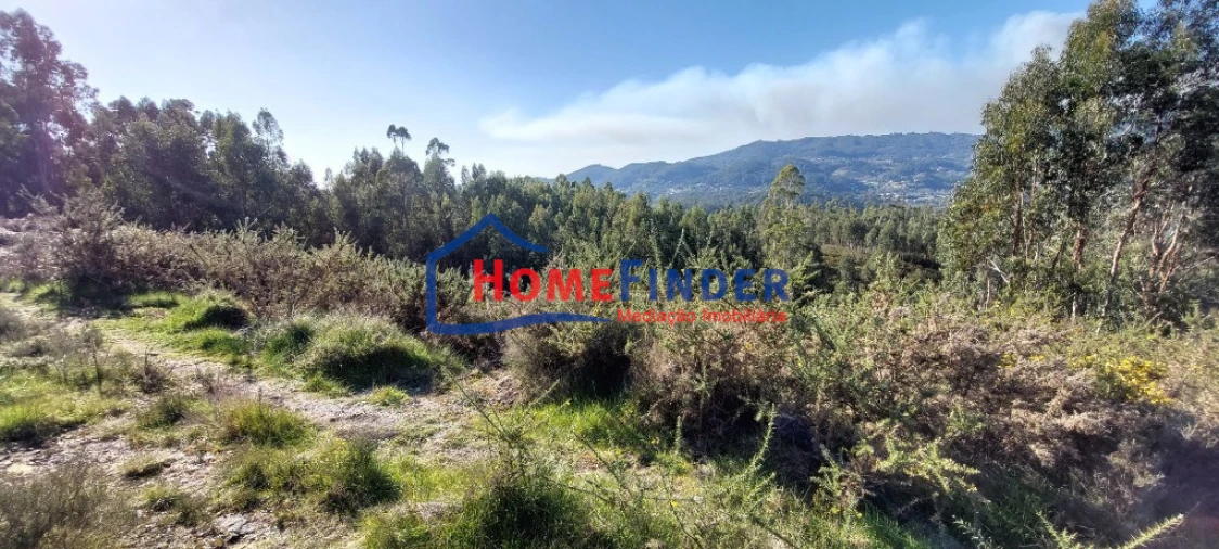 Terreno para Venda em Verim, Friande e Ajude Foto 7
