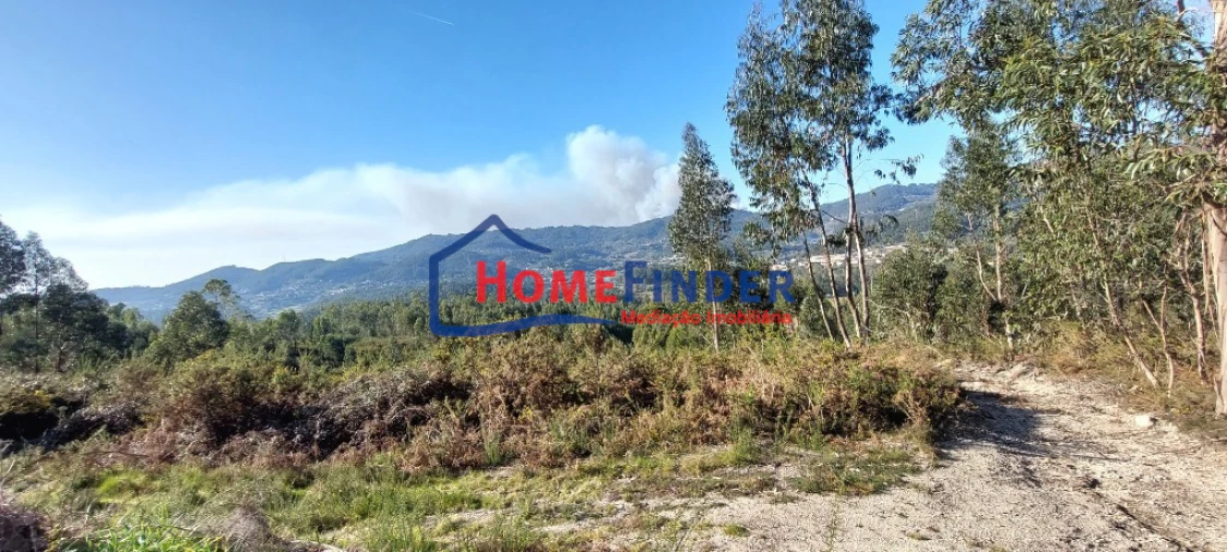 Terreno para Venda em Verim, Friande e Ajude Foto 9