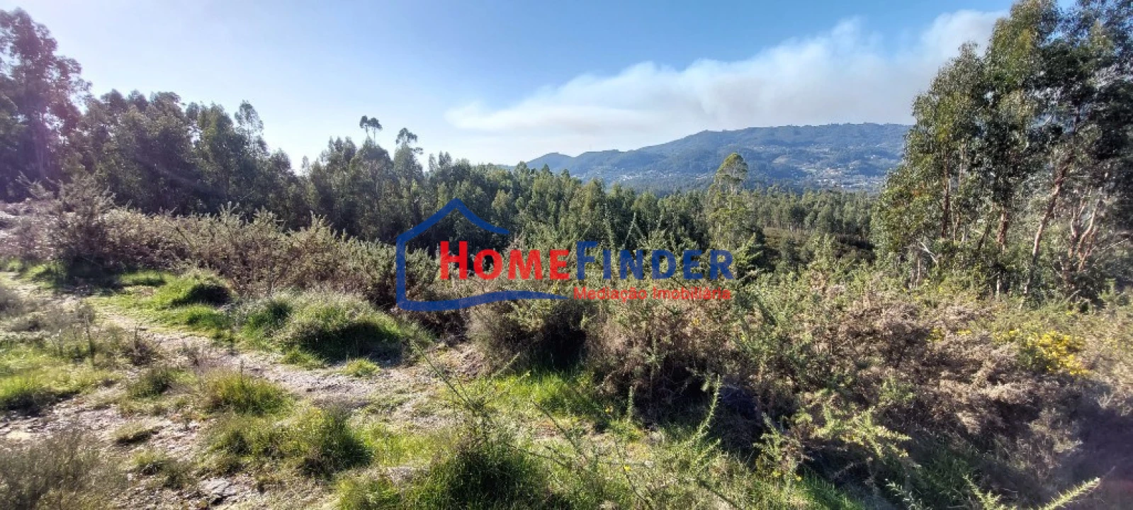 Terreno para Venda em Verim, Friande e Ajude Foto 16