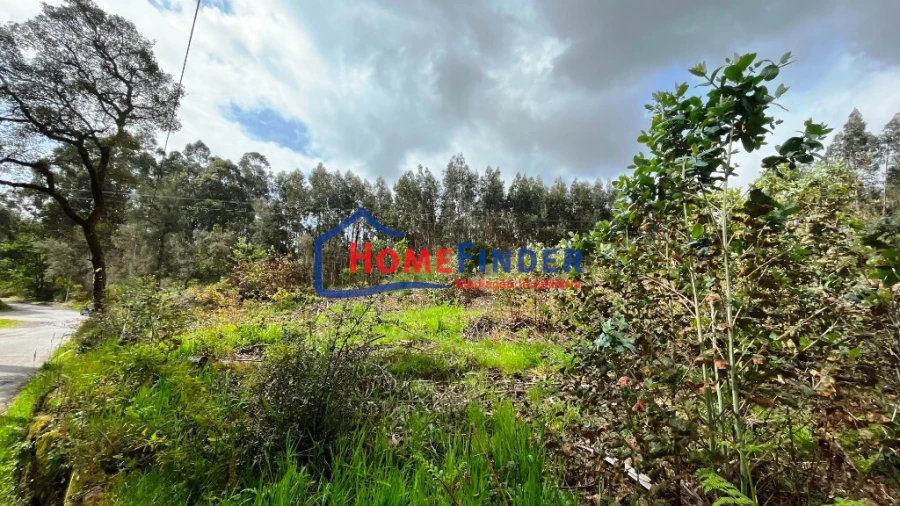 Terreno para Venda em Turiz Foto 16