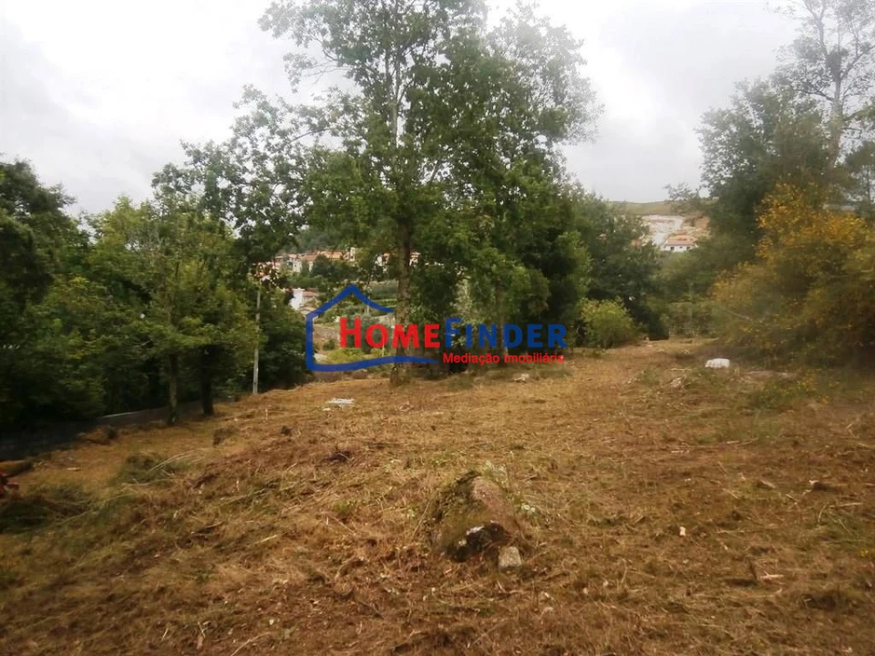 Quinta T1 para Venda em Verim, Friande e Ajude Foto 9