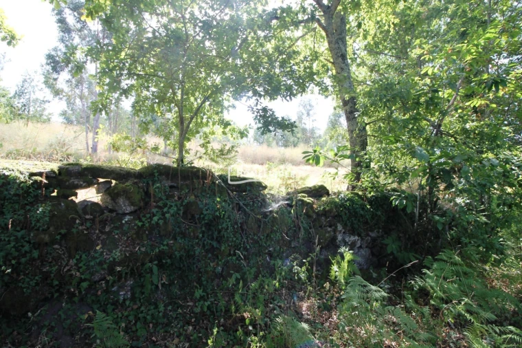 Moradia T1 para Venda em Verim, Friande e Ajude Foto 21