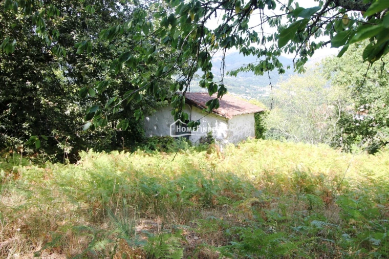 Moradia T1 para Venda em Verim, Friande e Ajude Foto 20