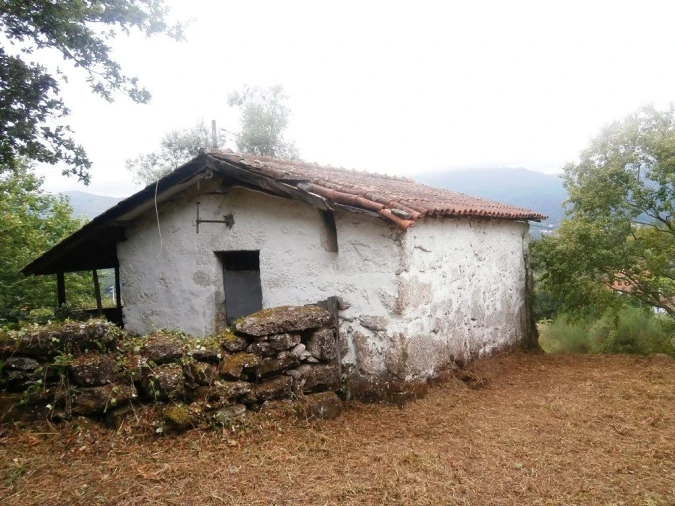 Terreno para Venda em Verim, Friande e Ajude Foto 29
