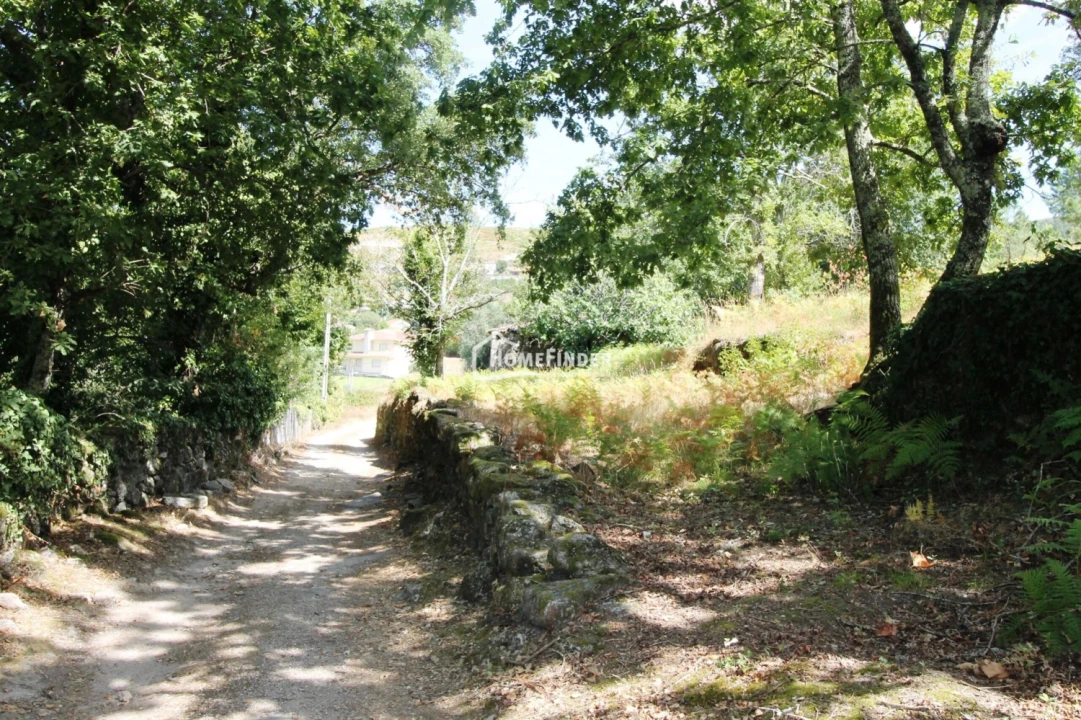 Terreno para Venda em Verim, Friande e Ajude Foto 21