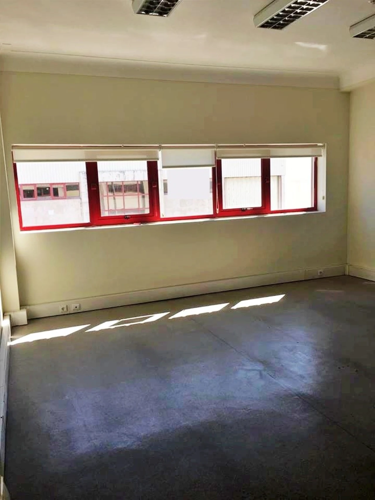 Armazém para Arrendamento em Moreira Foto 7