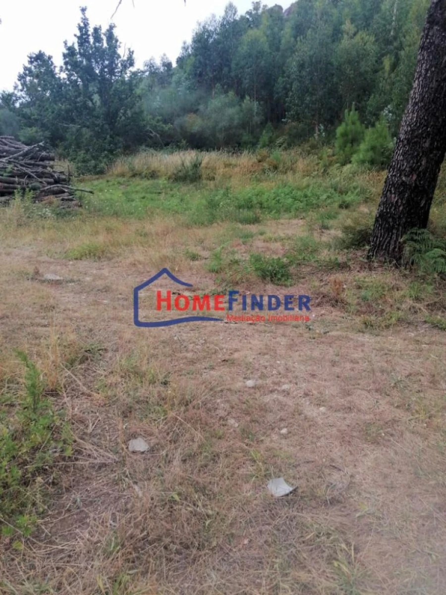 Terreno para Venda em Longos Vales Foto 2