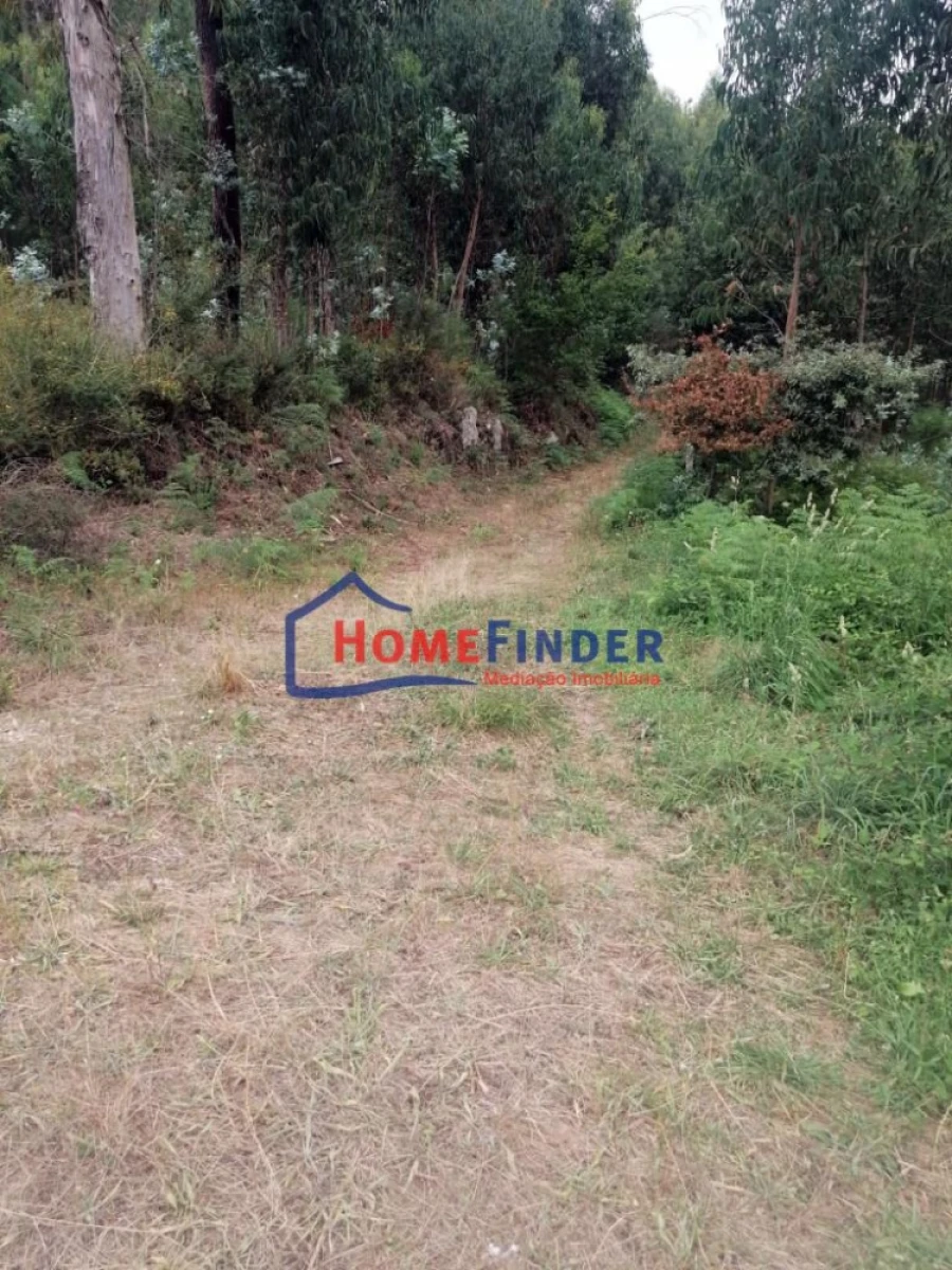 Terreno para Venda em Longos Vales Foto 1