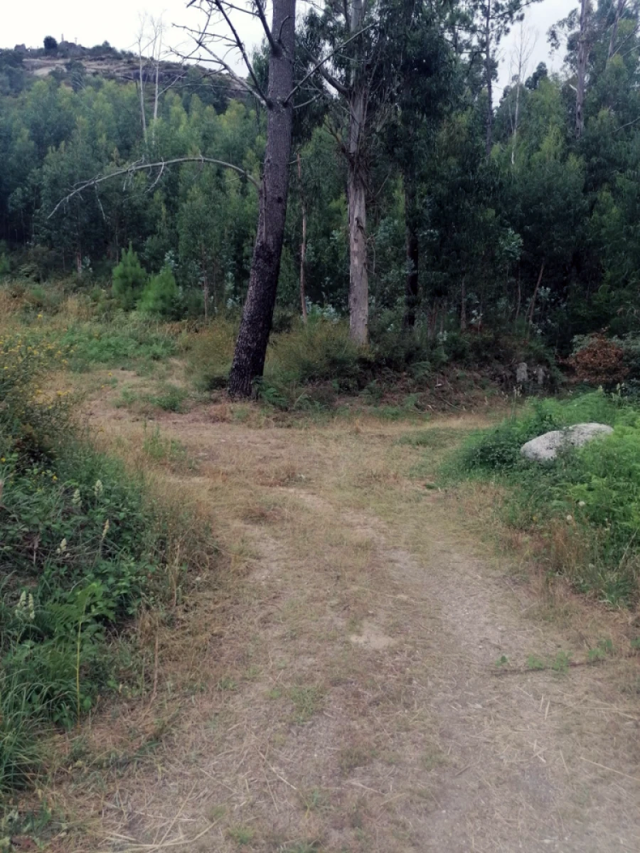 Terreno para Venda em Longos Vales Foto 27