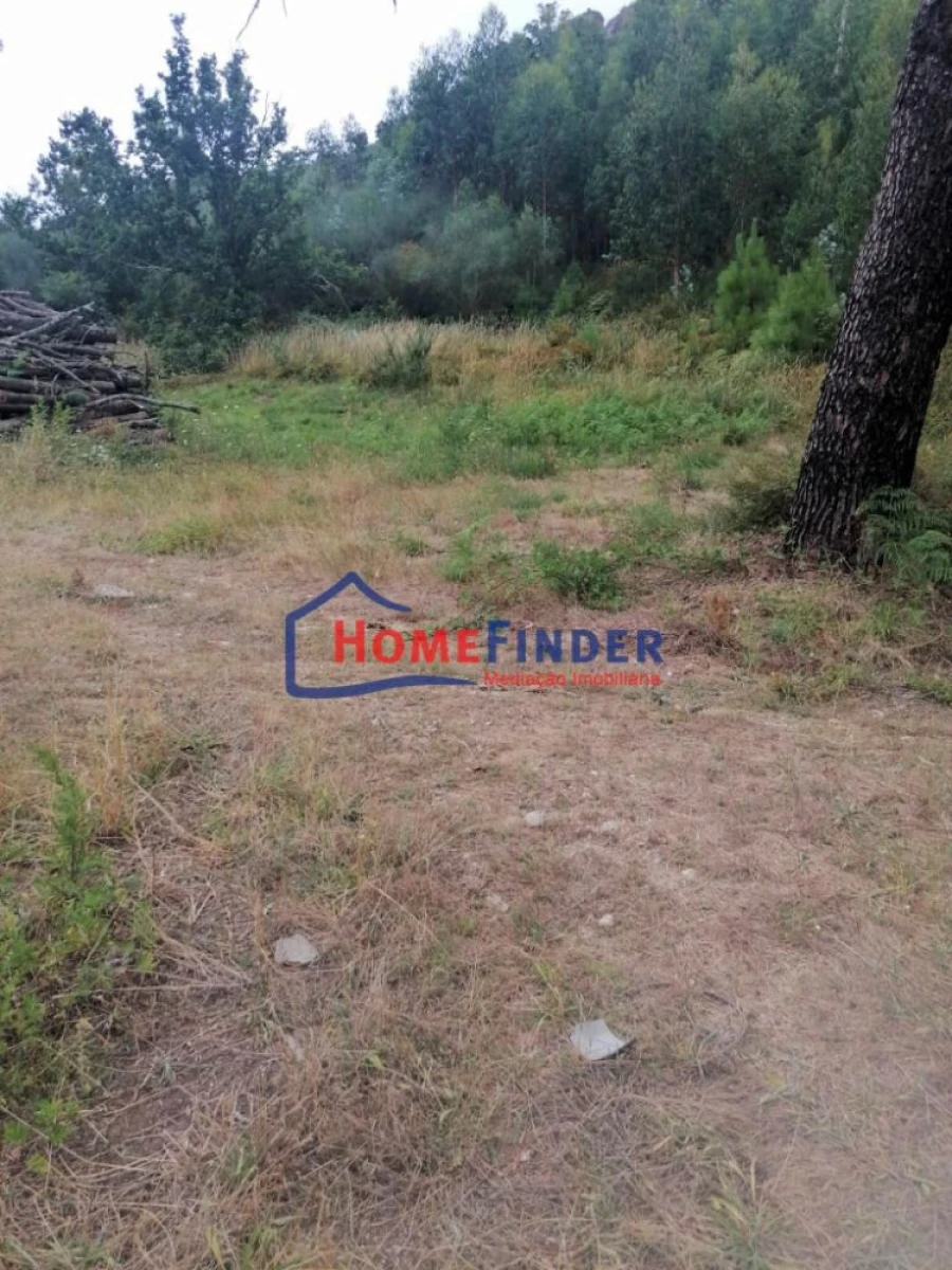 Terreno para Venda em Longos Vales Foto 9