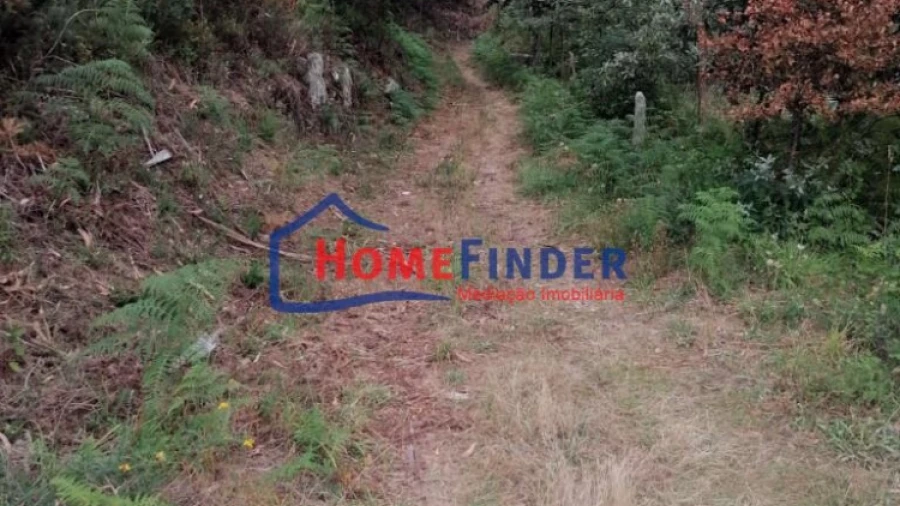 Terreno para Venda em Longos Vales
