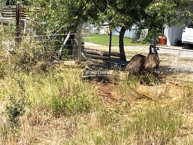 Terreno para Venda em Abrantes (São Vicente e São João) e Alferrarede Foto 11