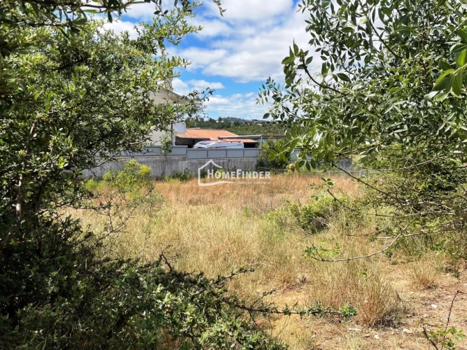 Terreno para Venda em Abrantes (São Vicente e São João) e Alferrarede Foto 4