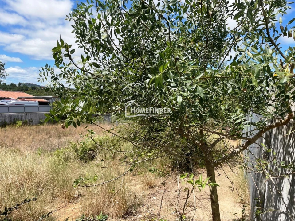 Terreno para Venda em Abrantes (São Vicente e São João) e Alferrarede Foto 5