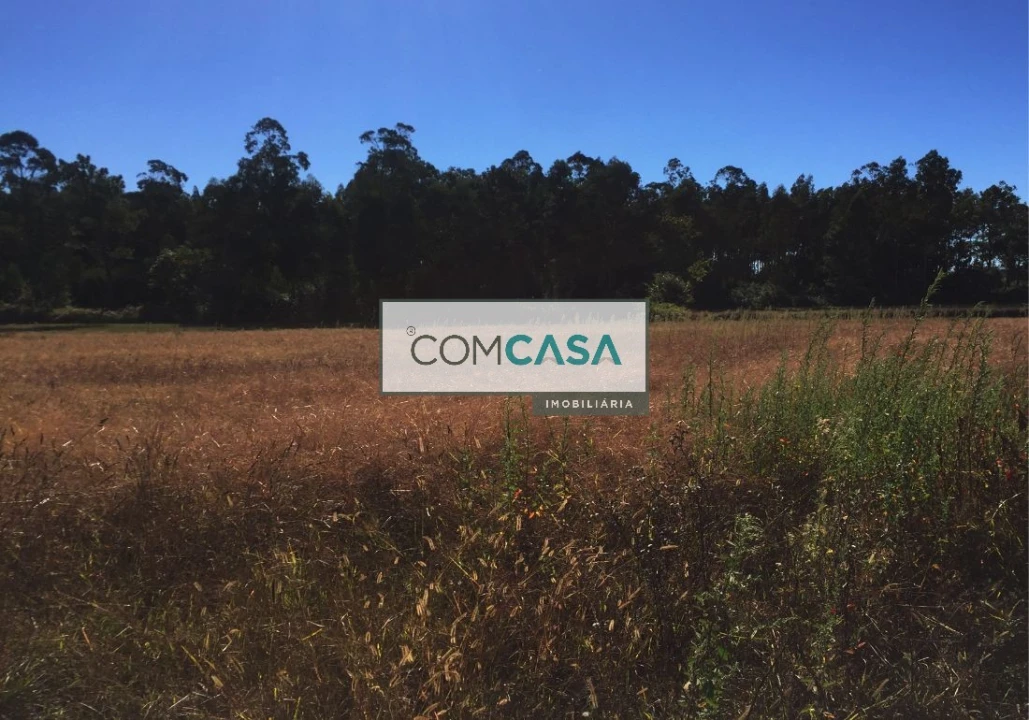 Terreno para Venda em Gião Foto 5