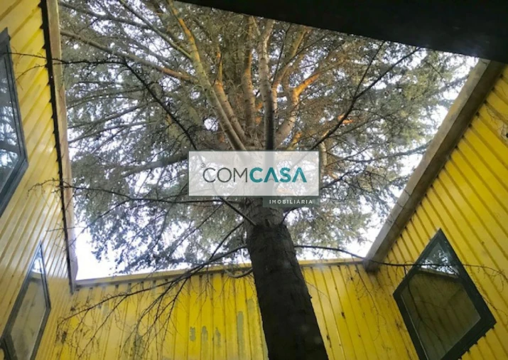 Loja para Venda em Gião Foto 9