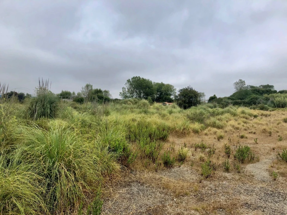 Terreno para Arrendamento em Perafita, Lavra e Santa Cruz do Bispo Foto 6