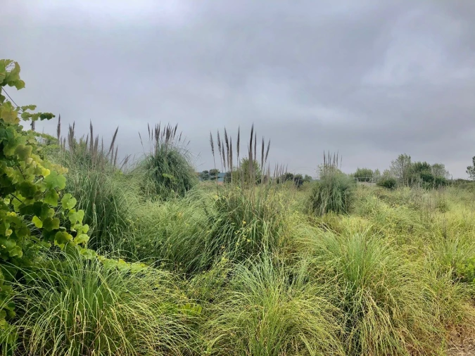 Terreno para Arrendamento em Perafita, Lavra e Santa Cruz do Bispo Foto 5