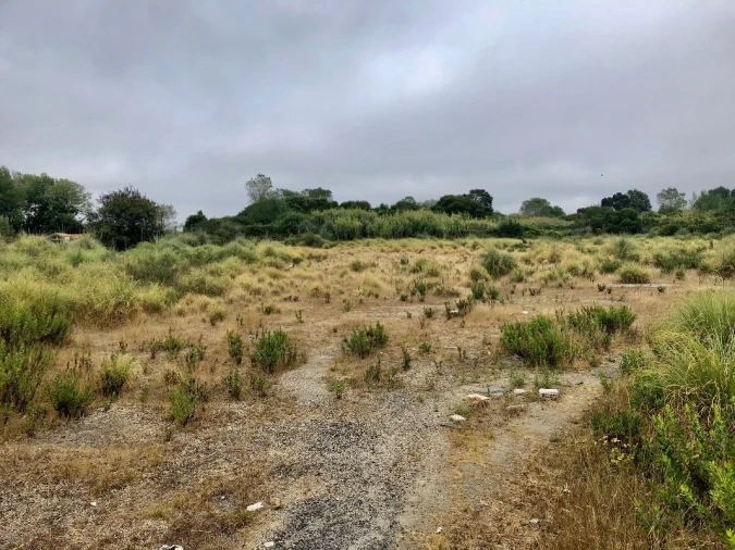 Terreno para Arrendamento em Perafita, Lavra e Santa Cruz do Bispo Foto 7