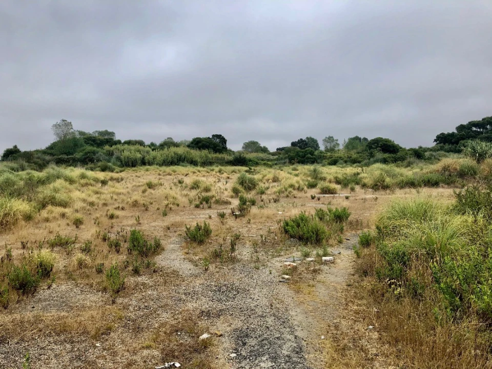 Terreno para Arrendamento em Perafita, Lavra e Santa Cruz do Bispo Foto 8
