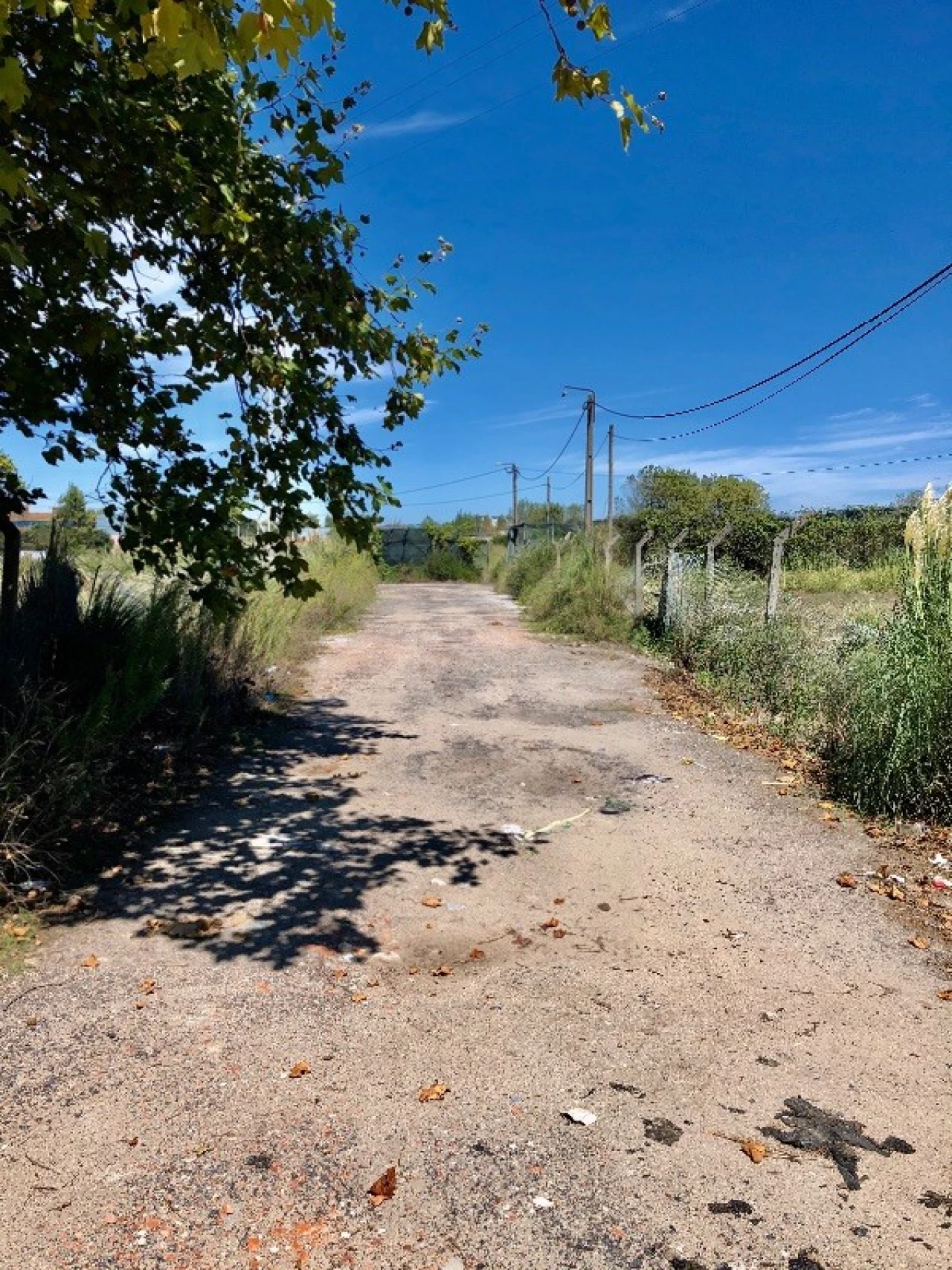 Terreno para Arrendamento em Perafita, Lavra e Santa Cruz do Bispo Foto 11