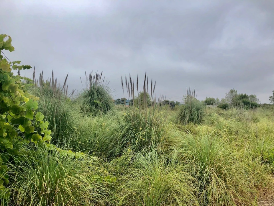 Terreno para Arrendamento em Perafita, Lavra e Santa Cruz do Bispo Foto 5