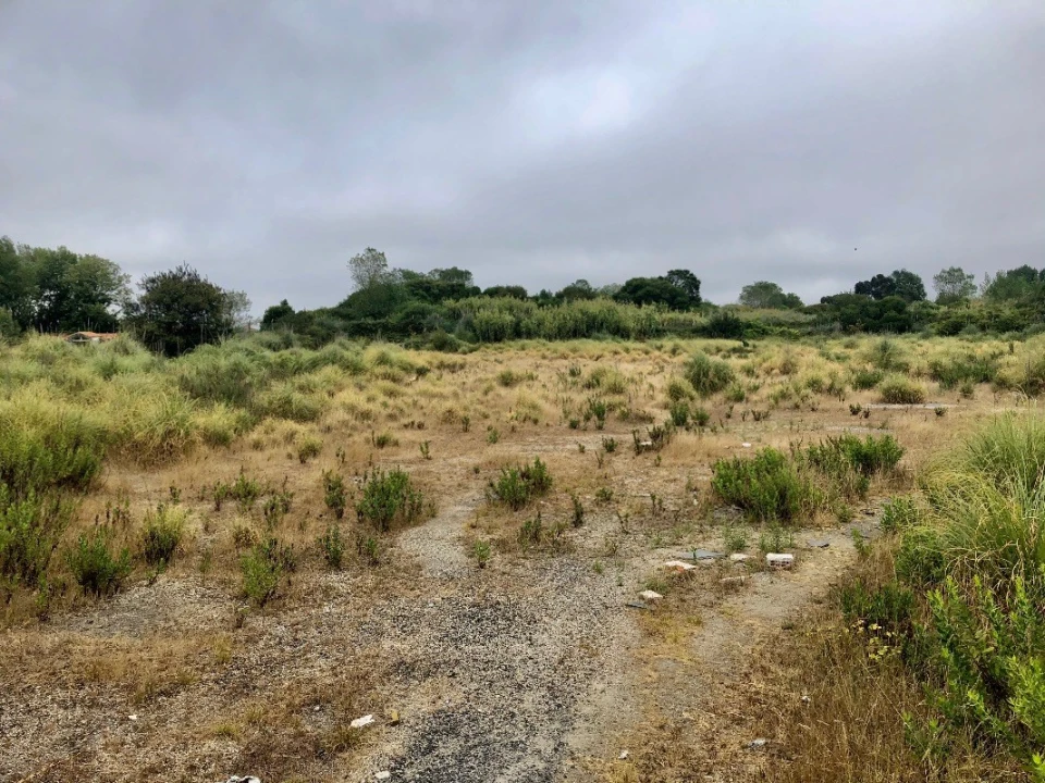 Terreno para Arrendamento em Perafita, Lavra e Santa Cruz do Bispo Foto 7