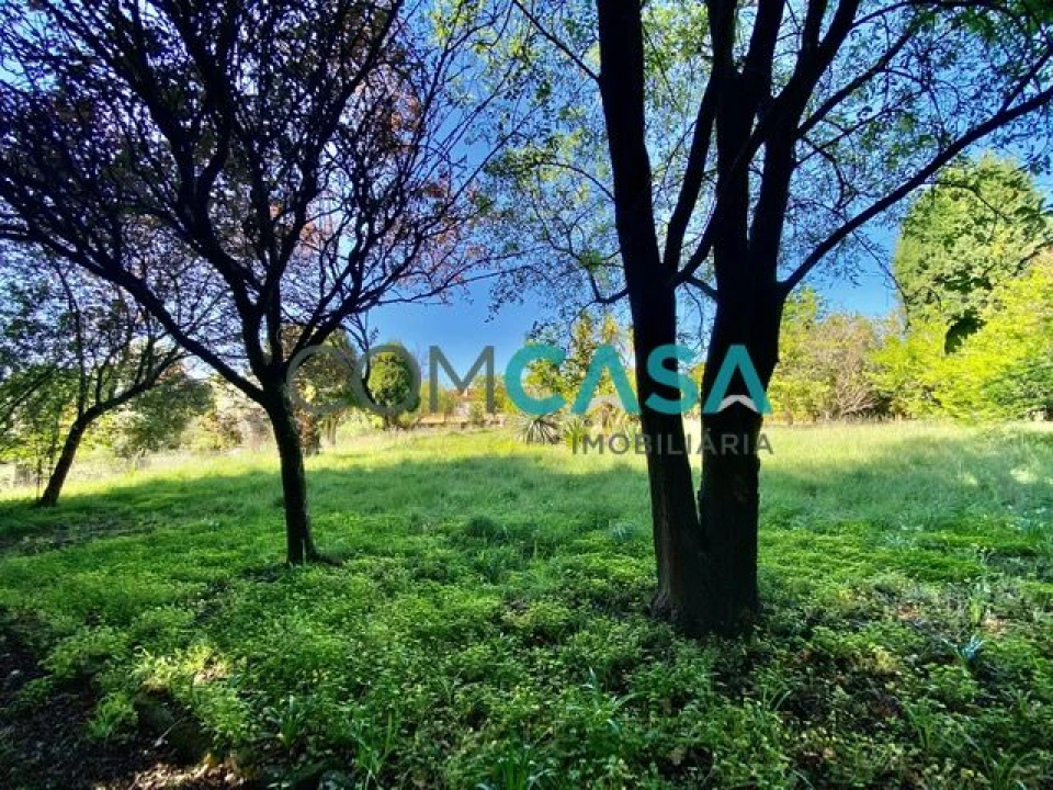 Quinta T2 para Venda em Campanhã Foto 30