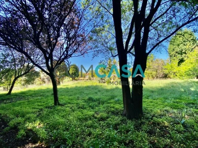 Quinta T2 para Venda em Campanhã Foto 30