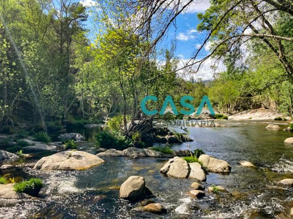 Quinta T10 para Venda em Lamego (Almacave e Sé) Foto 6