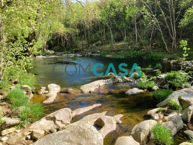 Quinta T10 para Venda em Lamego (Almacave e Sé) Foto 7