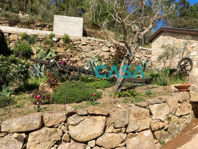 Quinta T10 para Venda em Lamego (Almacave e Sé) Foto 17