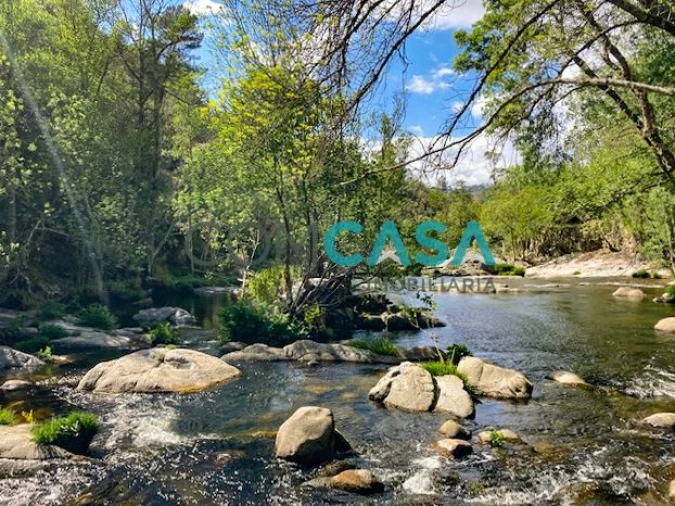 Quinta T10 para Venda em Lamego (Almacave e Sé) Foto 6