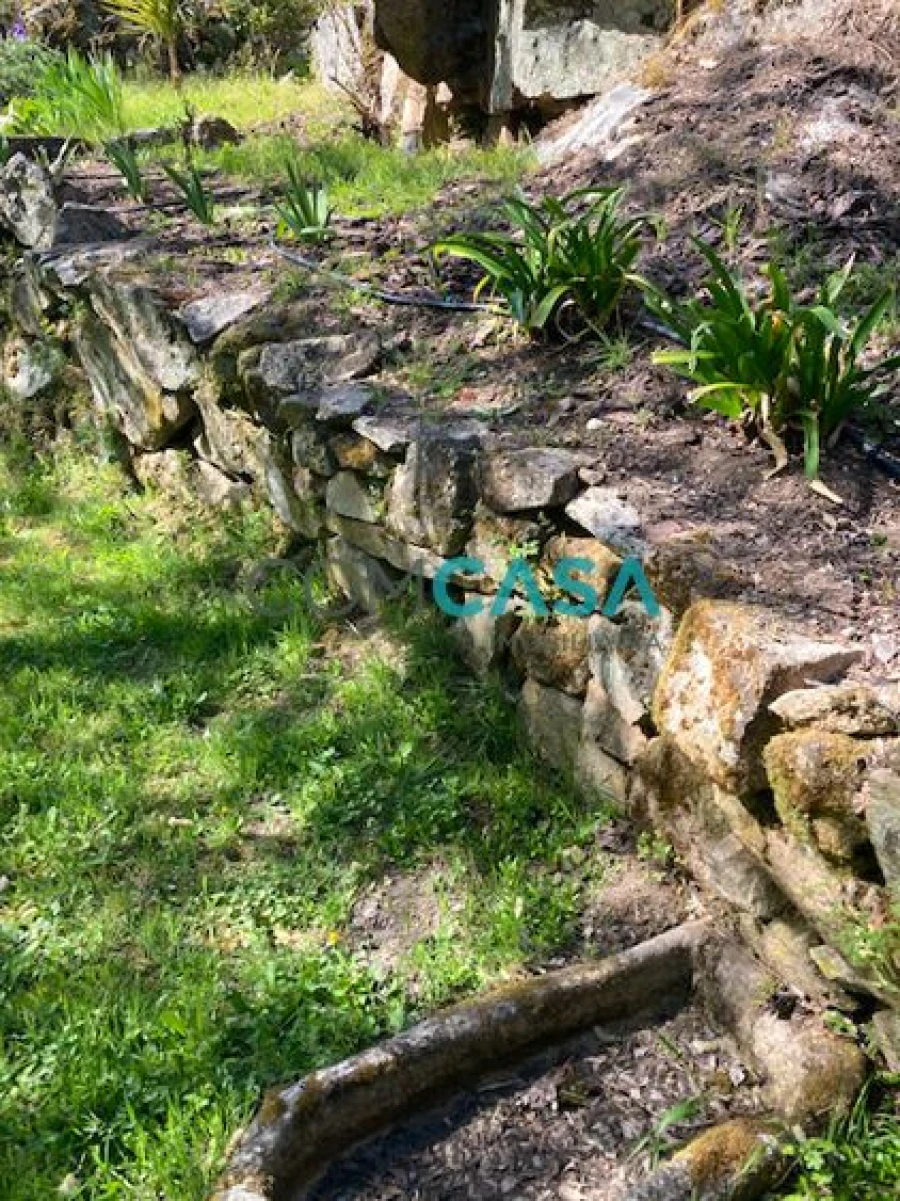 Quinta T10 para Venda em Lamego (Almacave e Sé) Foto 26