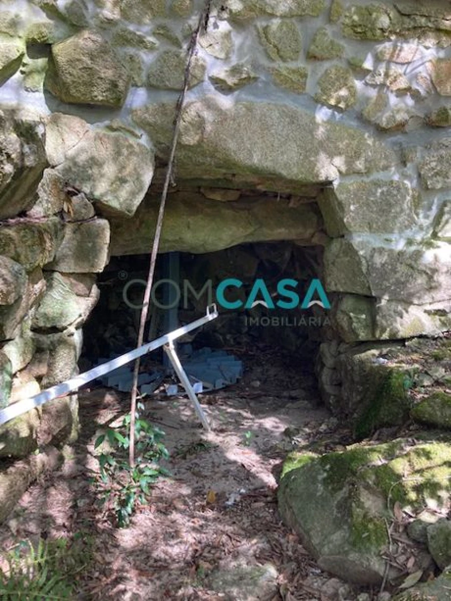 Quinta T10 para Venda em Lamego (Almacave e Sé) Foto 28