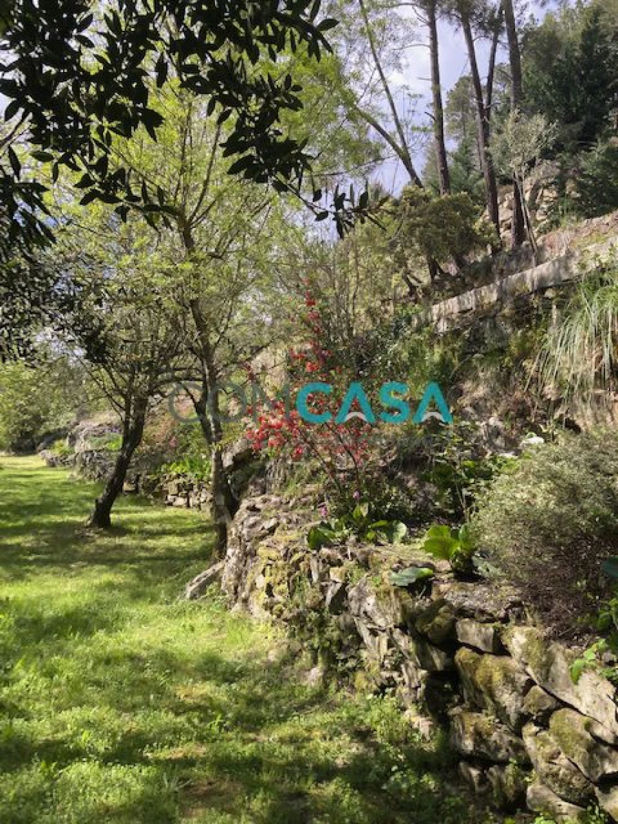 Quinta T10 para Venda em Lamego (Almacave e Sé) Foto 25