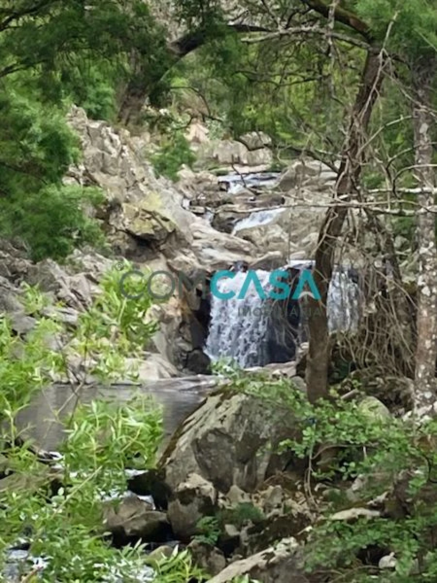 Quinta T10 para Venda em Lamego (Almacave e Sé) Foto 5