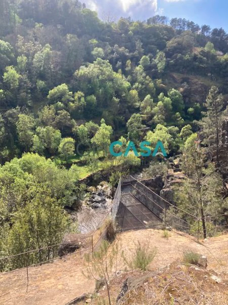 Quinta T10 para Venda em Lamego (Almacave e Sé) Foto 2