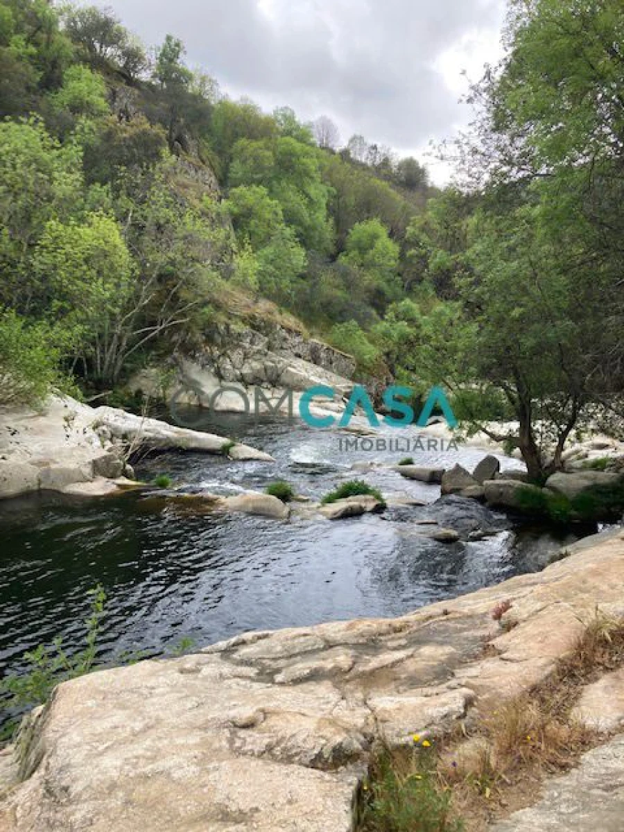 Quinta T10 para Venda em Lamego (Almacave e Sé) Foto 4