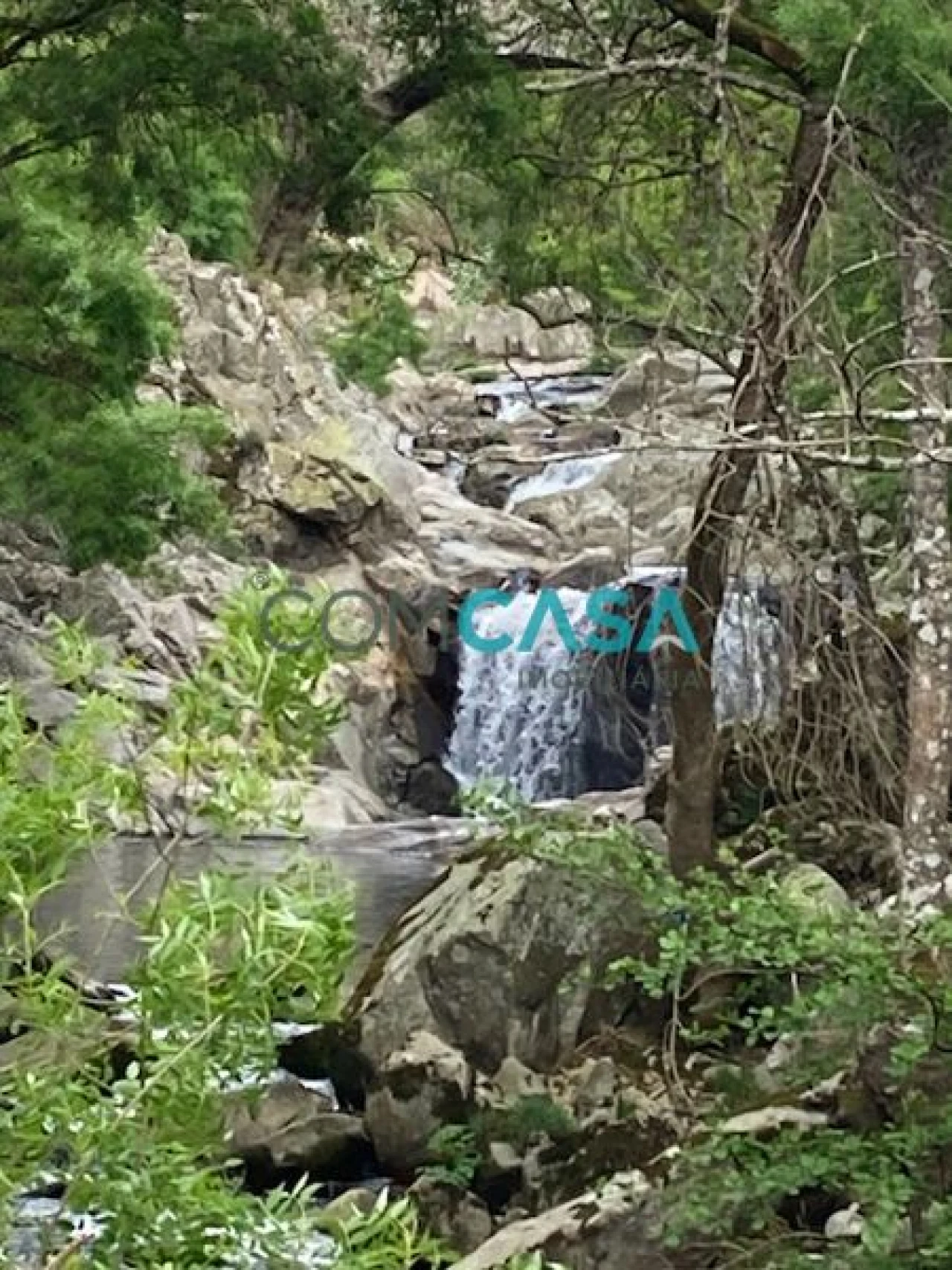 Quinta T10 para Venda em Lamego (Almacave e Sé) Foto 5