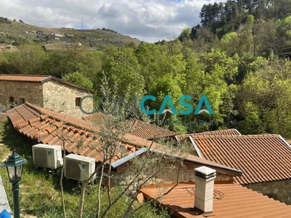 Quinta T10 para Venda em Lamego (Almacave e Sé) Foto 8