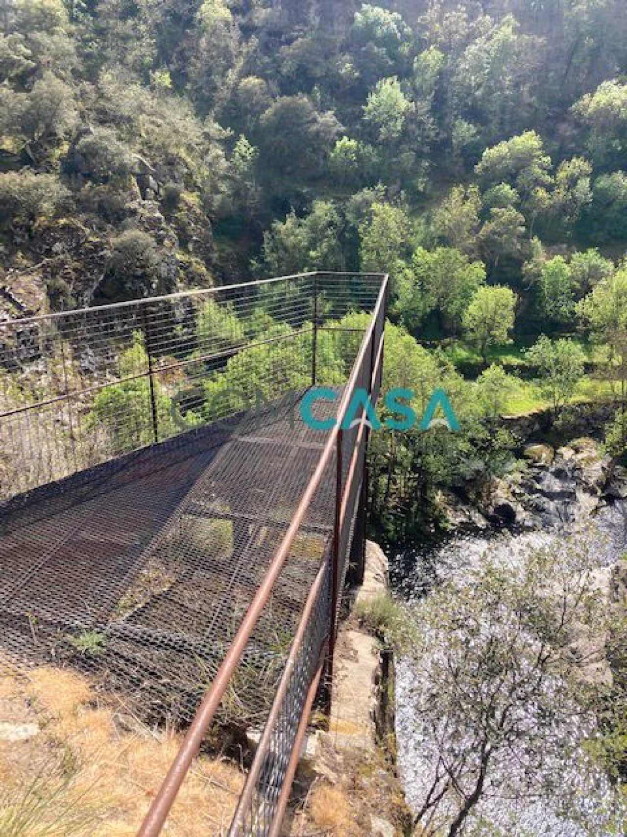 Quinta T10 para Venda em Lamego (Almacave e Sé) Foto 3