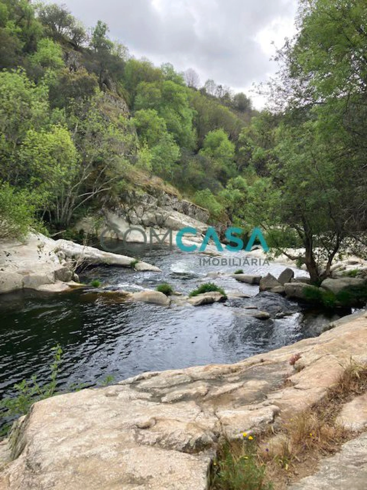 Quinta T10 para Venda em Lamego (Almacave e Sé) Foto 4