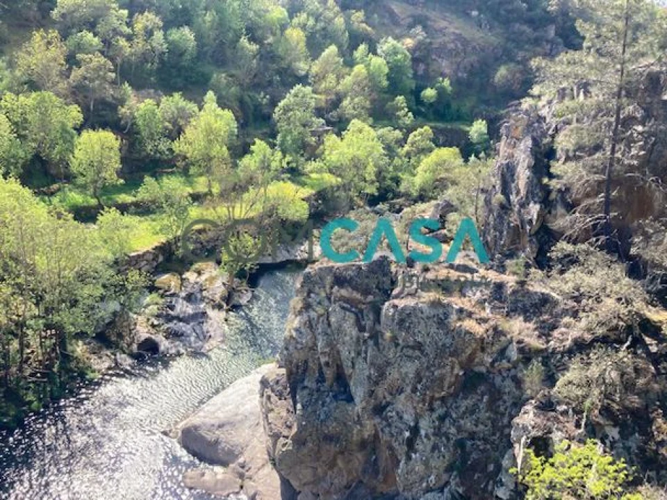 Quinta T10 para Venda em Lamego (Almacave e Sé) Foto 30