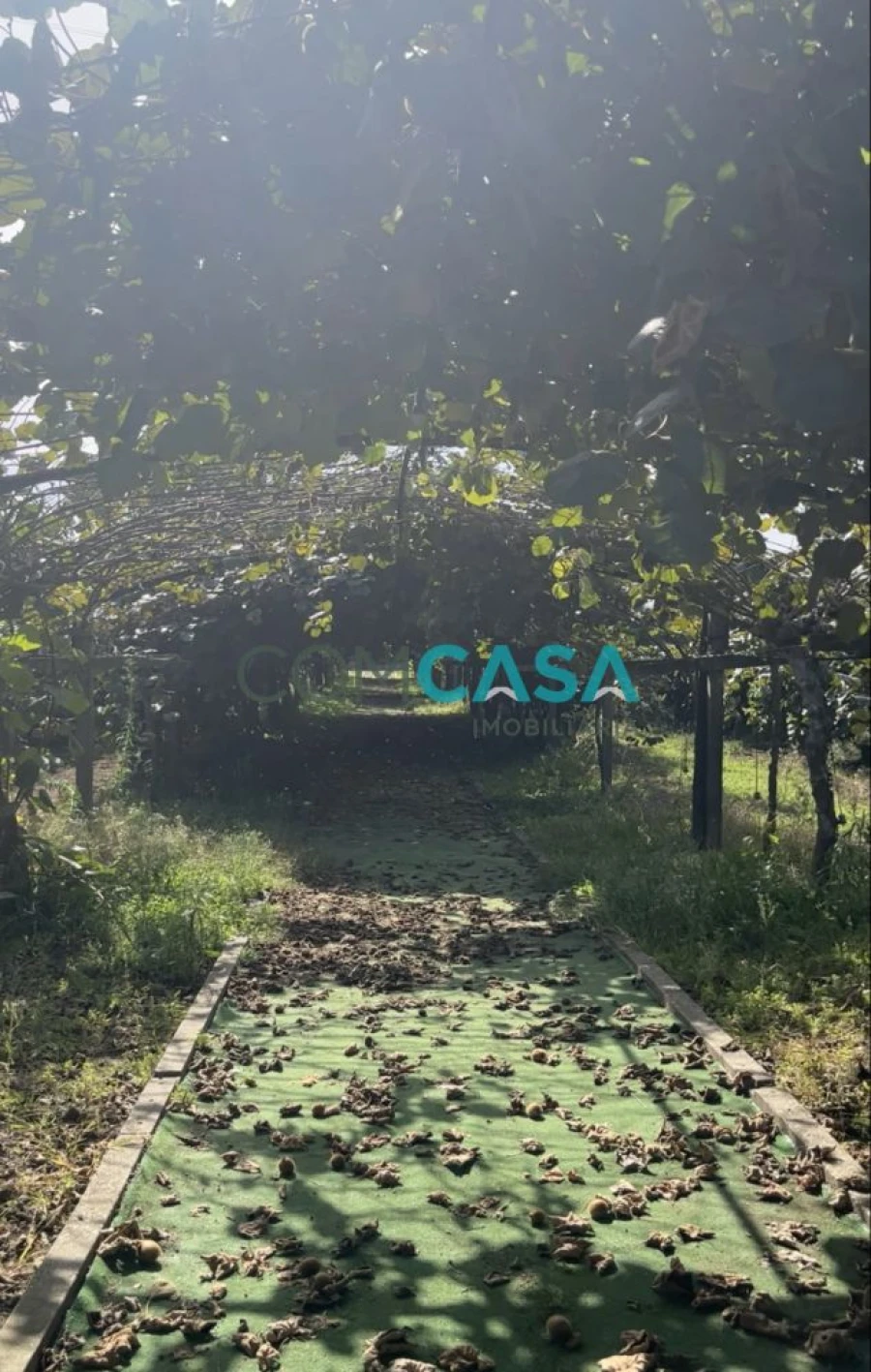 Quinta T5 para Venda em Duas Igrejas Foto 18