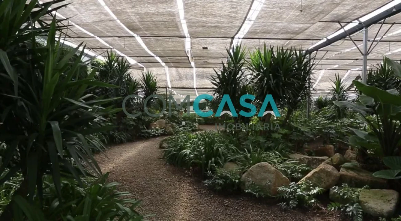 Quinta T5 para Venda em Duas Igrejas Foto 33