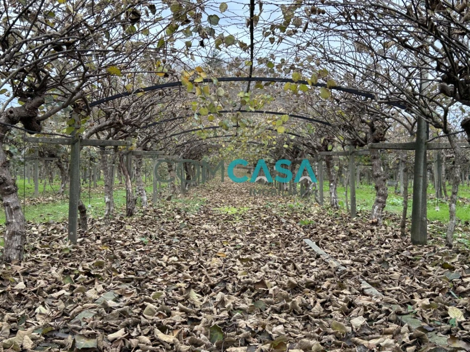 Quinta T5 para Venda em Duas Igrejas Foto 50