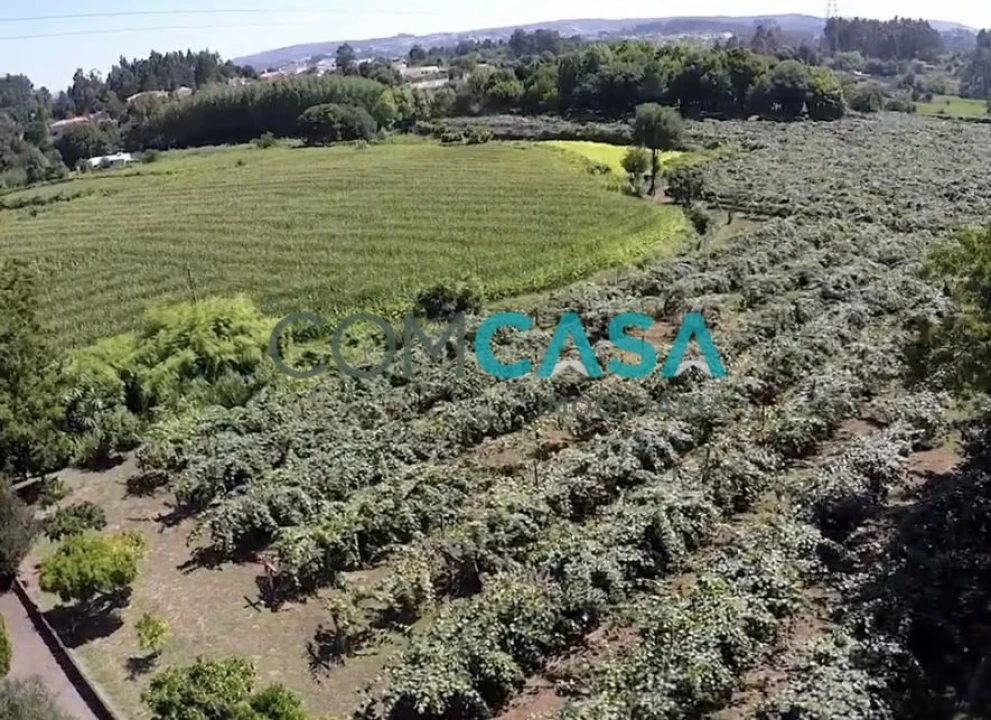 Quinta T5 para Venda em Duas Igrejas Foto 29