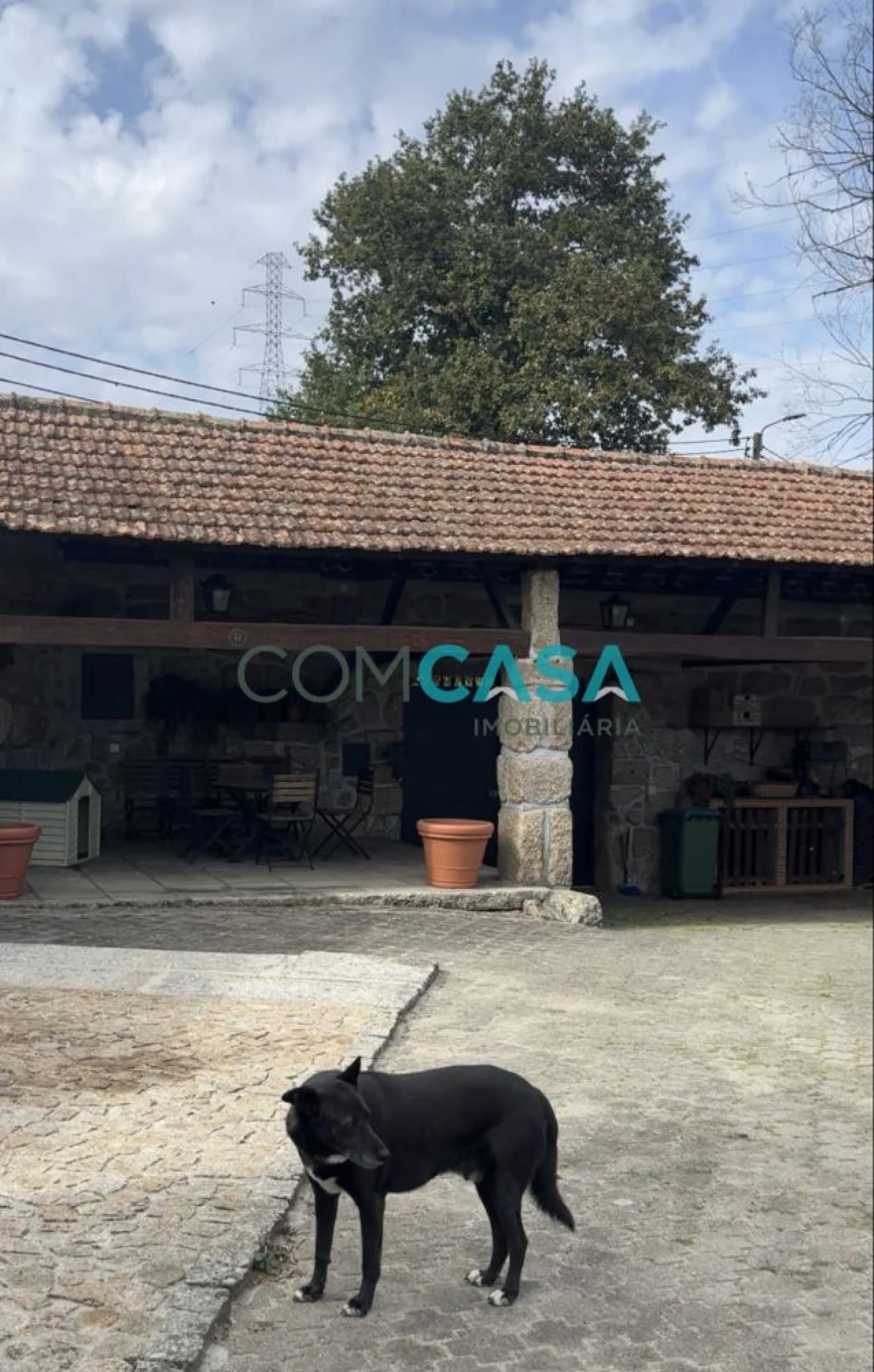 Quinta T5 para Venda em Duas Igrejas Foto 9