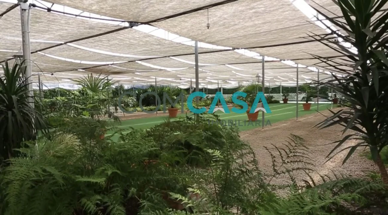 Quinta T5 para Venda em Duas Igrejas Foto 32